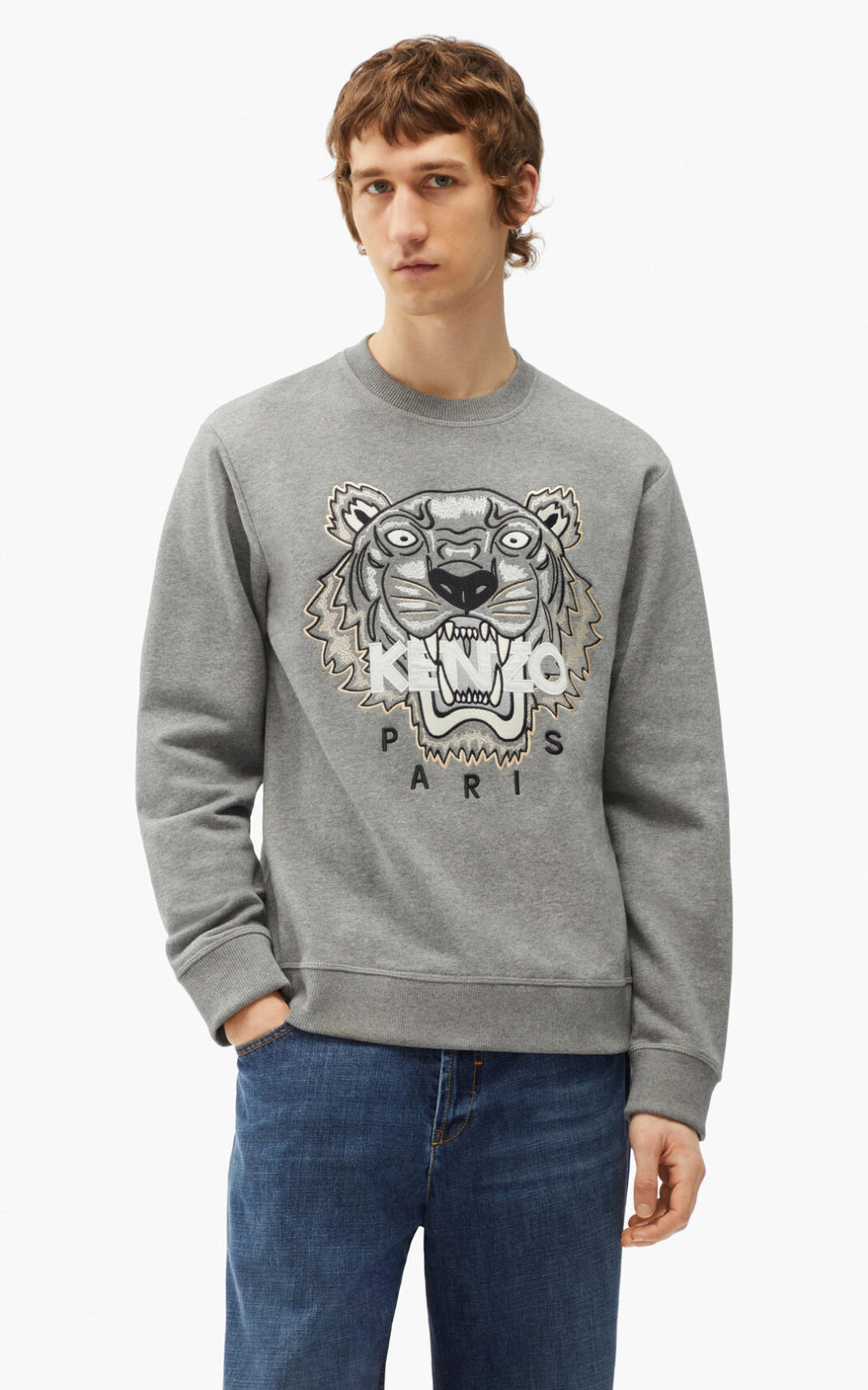 Kenzo Tiger Sweatshirt Herre - Grå DK-411966